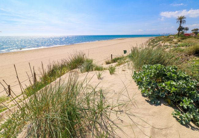 Apartamento en Marbella - Frontline beach apartment -Los Monteros Palm Beach Apartamento en Marbella - Frontline beach apartment -Los Monteros Palm Beach