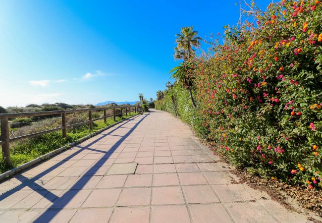 Квартира-студия на Marbella - Deluxe studio with huge terrace - Romana Playa beachfront Квартира-студия на Marbella - Deluxe studio with huge terrace - Romana Playa beachfront